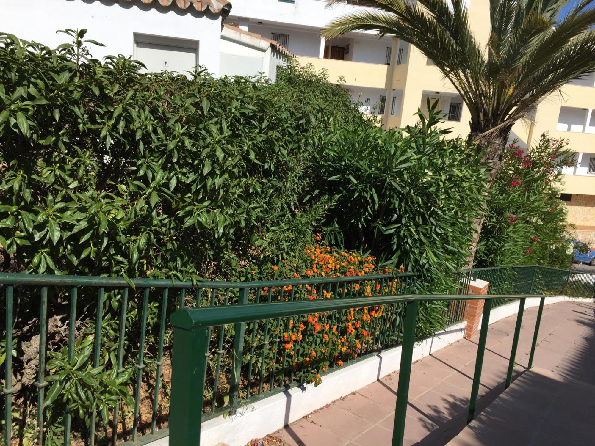 Stella Blanca 24B Lejlighed Fuengirola Eksteriør billede